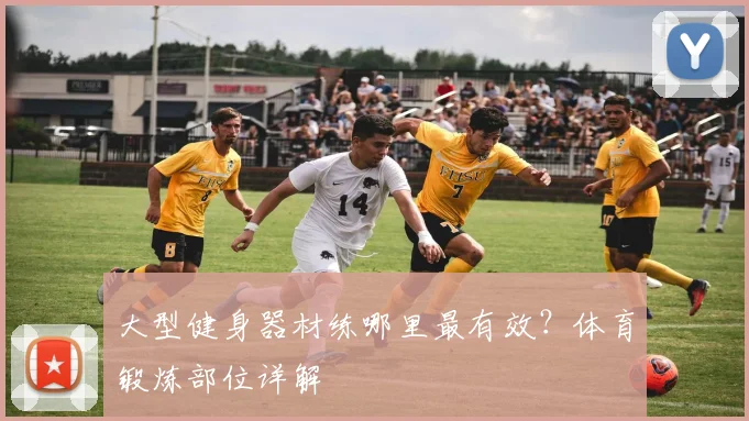 大型健身器材练哪里最有效?体育锻炼部位详解