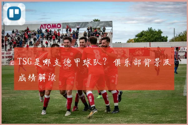 TSG是哪支德甲球队?俱乐部背景及成绩解读