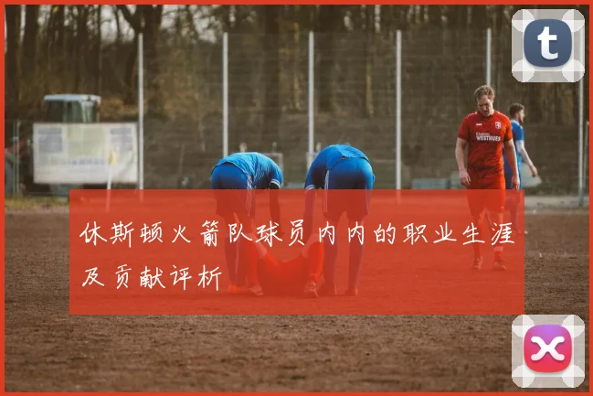 休斯顿火箭队球员内内的职业生涯及贡献评析