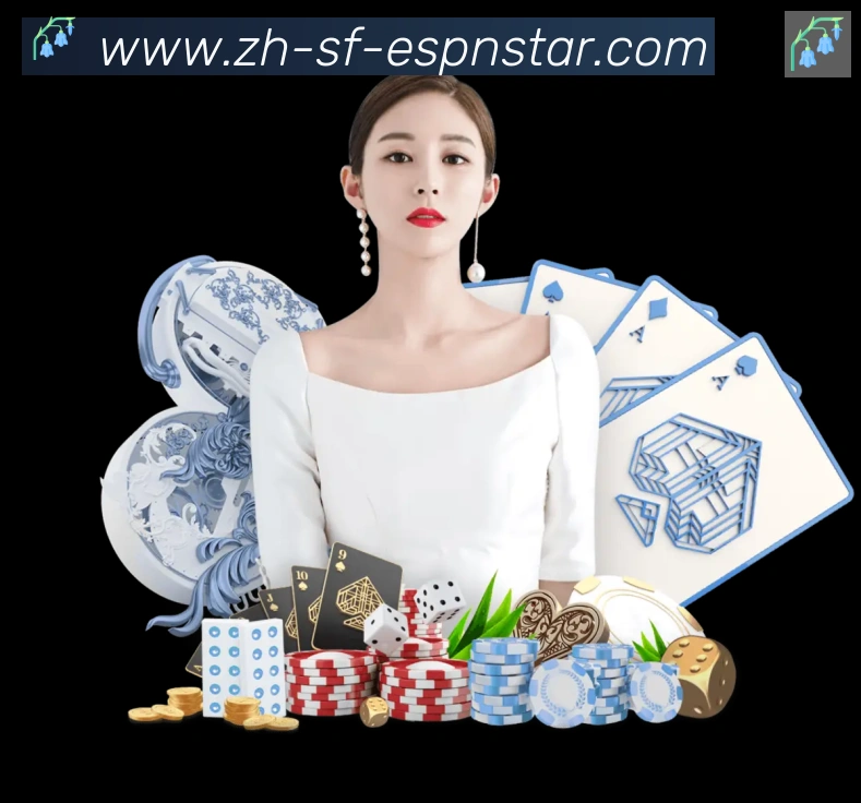 未来规划